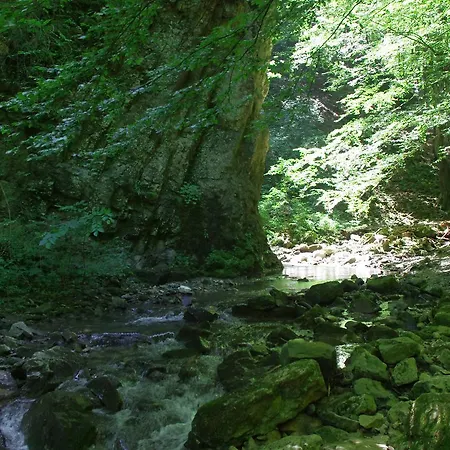 семеен вит 2*