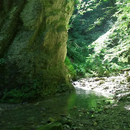 семеен вит 2*